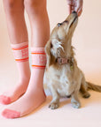 Dog Mom Striped Ribbed Crew Socks