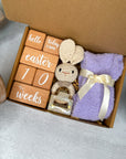 BABY GIFT SET | Crochet Animals | Baby Welcome Gift  | Hygge Gift | Hair Claw | Baby Milestone | Baby Blanket | Baby Shower